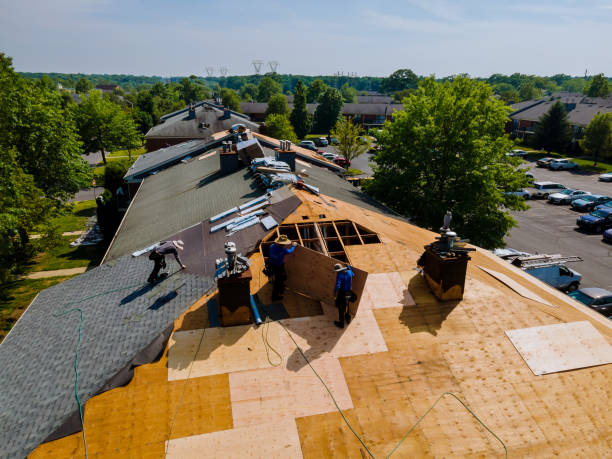 Best Storm Damage Roof Repair  in South Fallsburg, NY